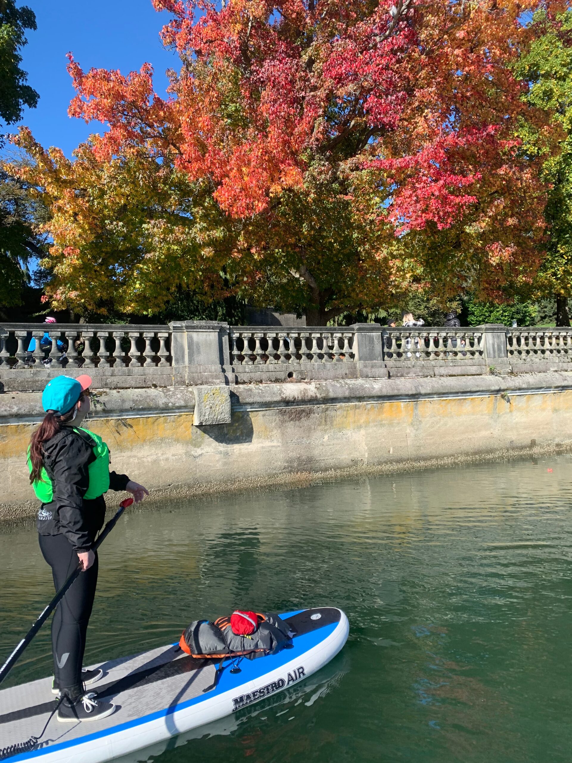 Stand Up Paddle Vancouver coal harbour tour